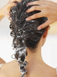 dandruff-4 dandruff-4